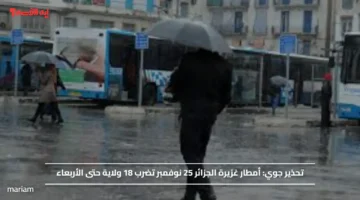 تحذير جوي.. أمطار غزيرة الجزائر 25 نوفمبر تضرب 18 ولاية حتى الأربعاء